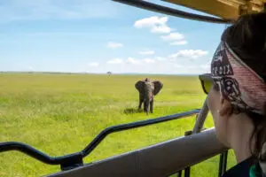 An encounter with an elephant in the Maasai Mara