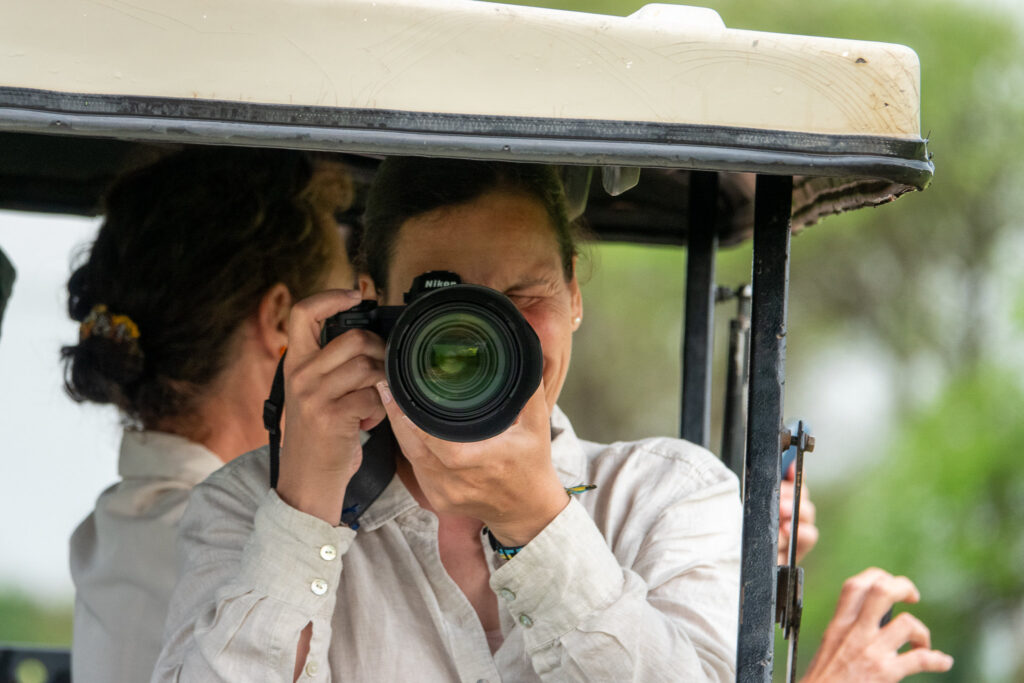 Safari photography