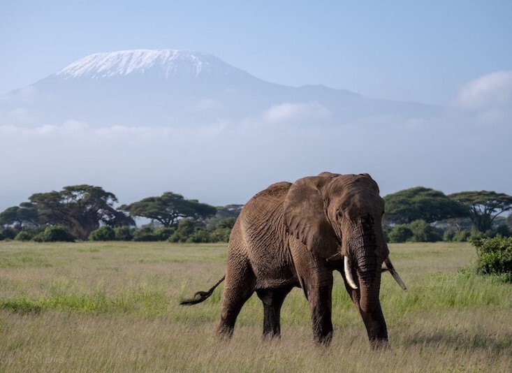 Amboseli Val Simmons