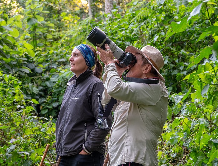 Chimp Trekking Nyungwe