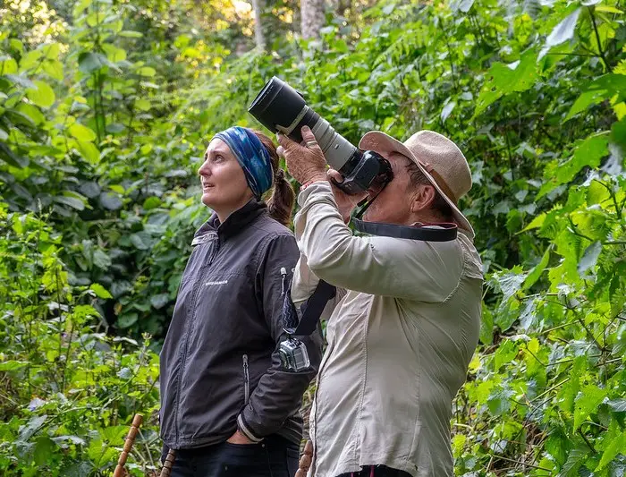 Chimp Trekking Nyungwe