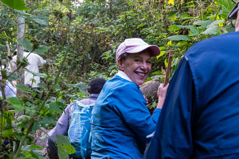 Trekking to mountain gorillas in the wild in Rwanda