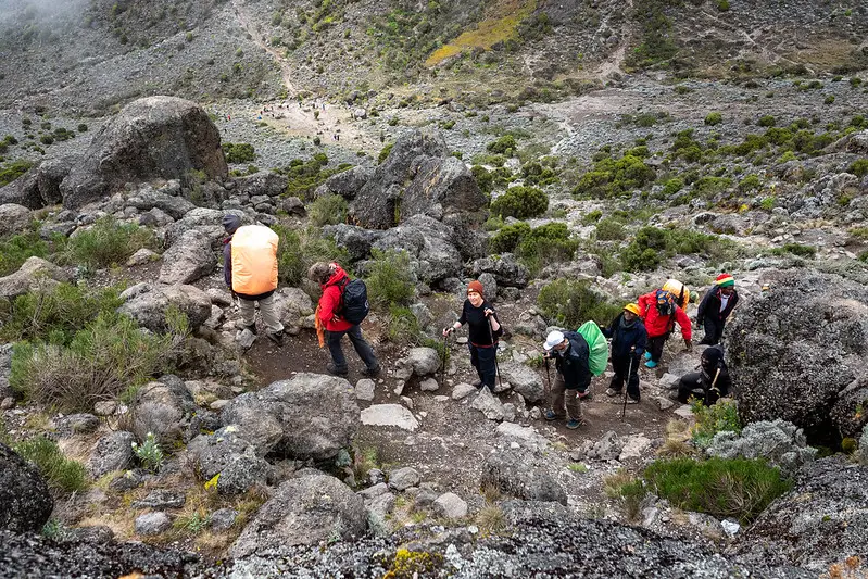 Lemosho Route up Kilimanjaro