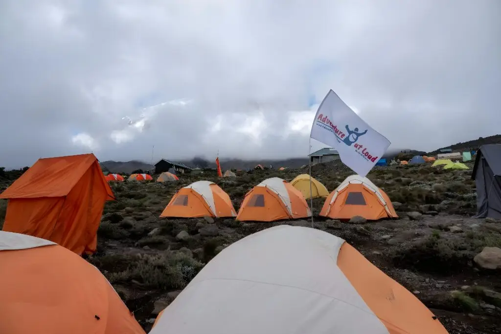 Kilimanjaro trek