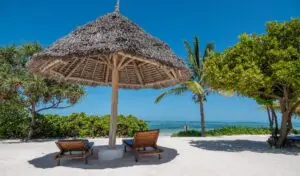 Best times to visit Zanzibar