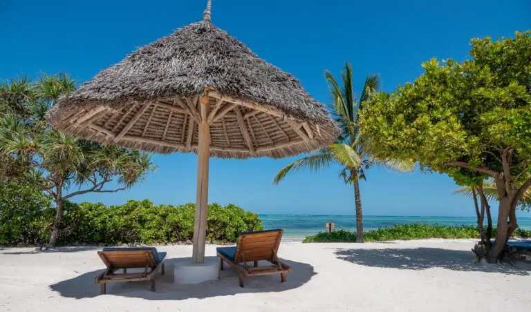 Best times to visit Zanzibar