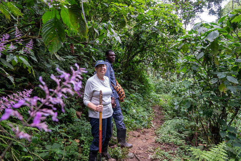 Gorilla Trekking Rwanda