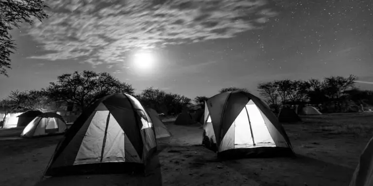 Right Safari Destination