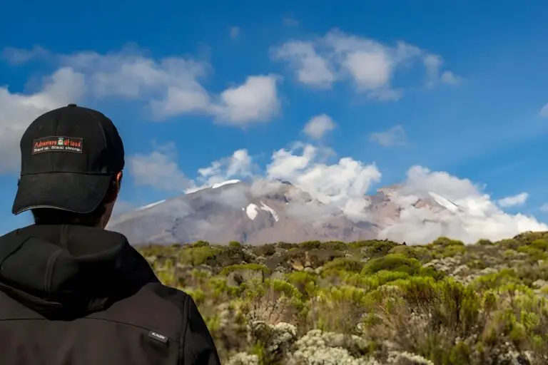 Kilimanjaro
