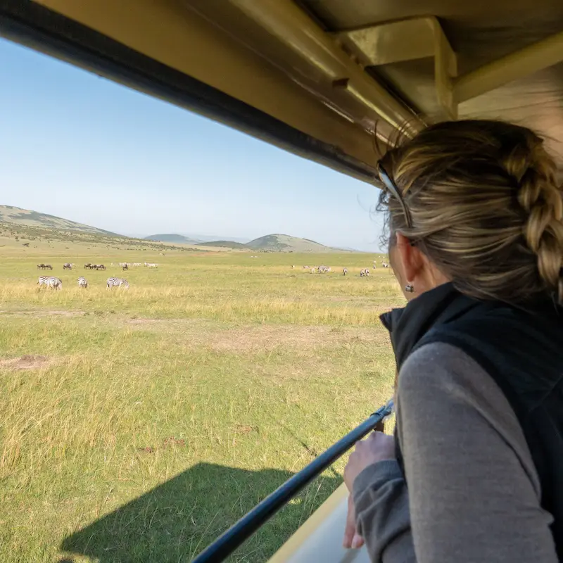 Right Safari Destination