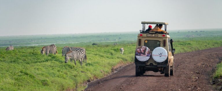 The best Kenyan safari parks