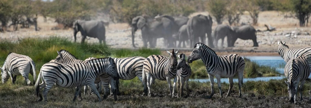 best safari parks