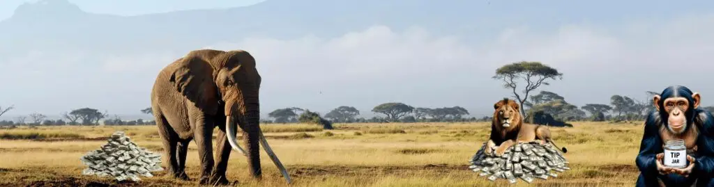 Ultimate African Tipping Guide