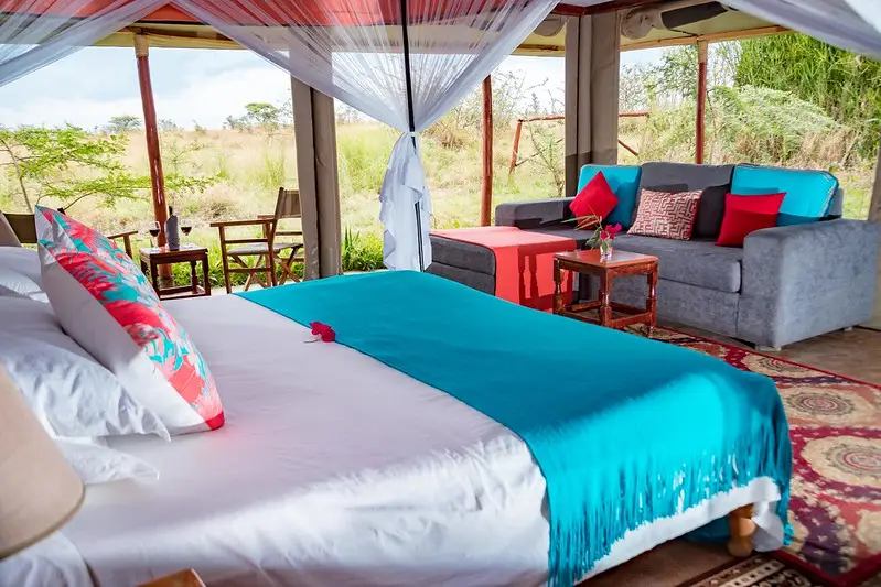 zebra plains room
