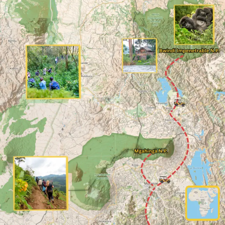 map of places you can see and trek gorillas in the wild