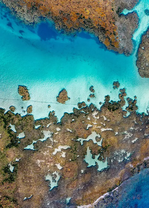 closeup-shot-islands-ocean-3d-map-canvas