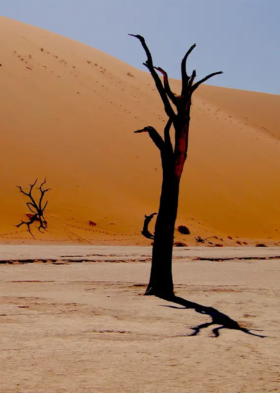 Top Namibia Safaris and Tours 3 namib desert on namibia safaris