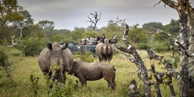 south africas private game reserves 2 1 lg