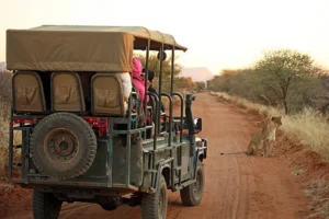Etosha-539258565-612x612