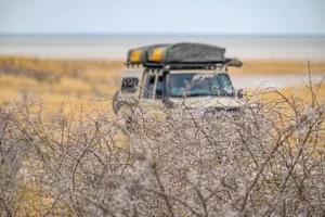 Self drive- Etosha NP