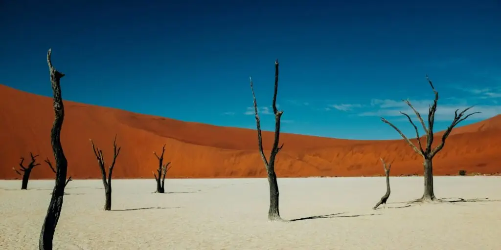 namibia sossusvlei 2 1 lg