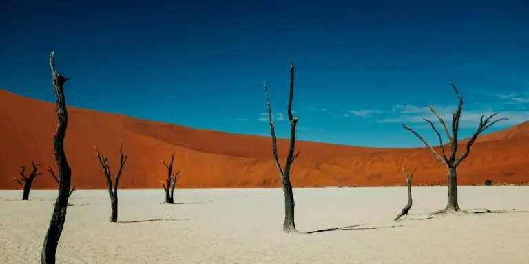 namibia sossusvlei 2 1 lg