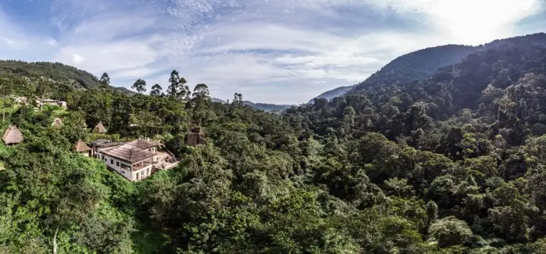 Bwindi Lodge- Uganda, Africa