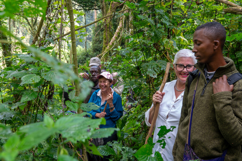 Best places to see gorillas in the wild. Bwindi Impenetrable NP, Uganda