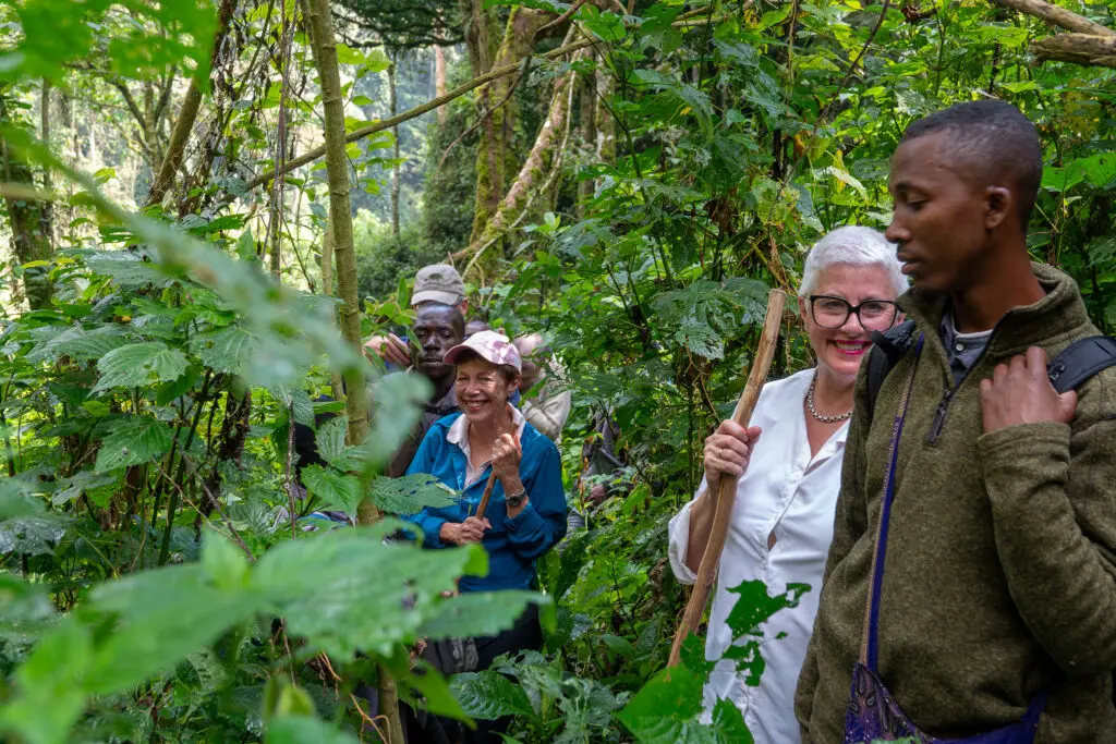 Best places to see gorillas in the wild. Bwindi Impenetrable NP, Uganda