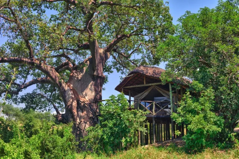 chimpanzee trekking lodge