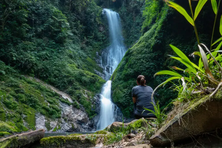 An AOL customer takes in the site of a waterfall inside Nyungwe national park in Rwanda, Africa