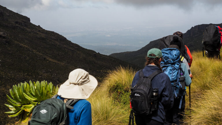 trekking Mt Kenya vs trekking Mt Kilimanjaro, which is harder?