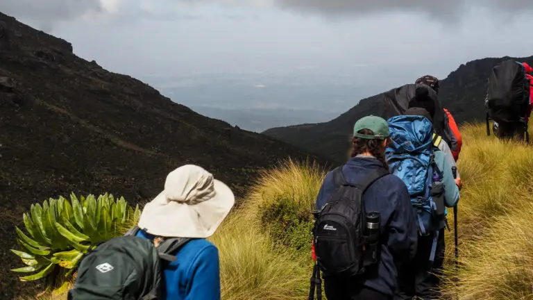 trekking Mt Kenya vs trekking Mt Kilimanjaro, which is harder?