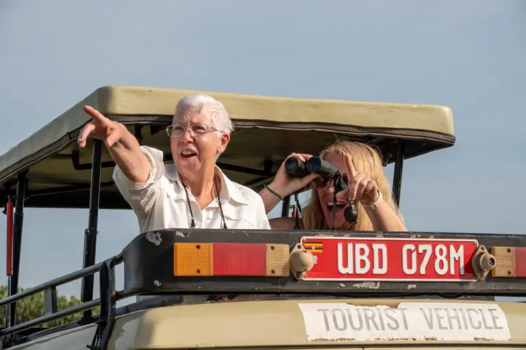 Spotting Africa's big 5 on safari, Uganda, Africa.