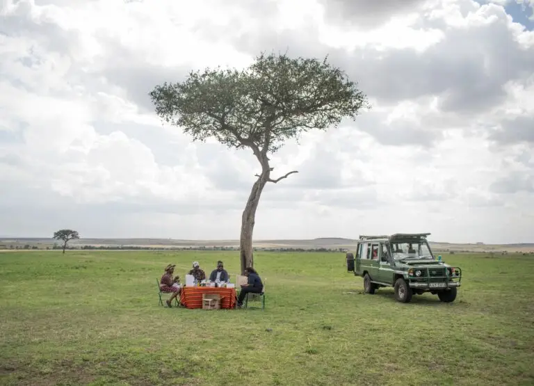 Lunch at Sekenani, Maasai Mara National Reserve