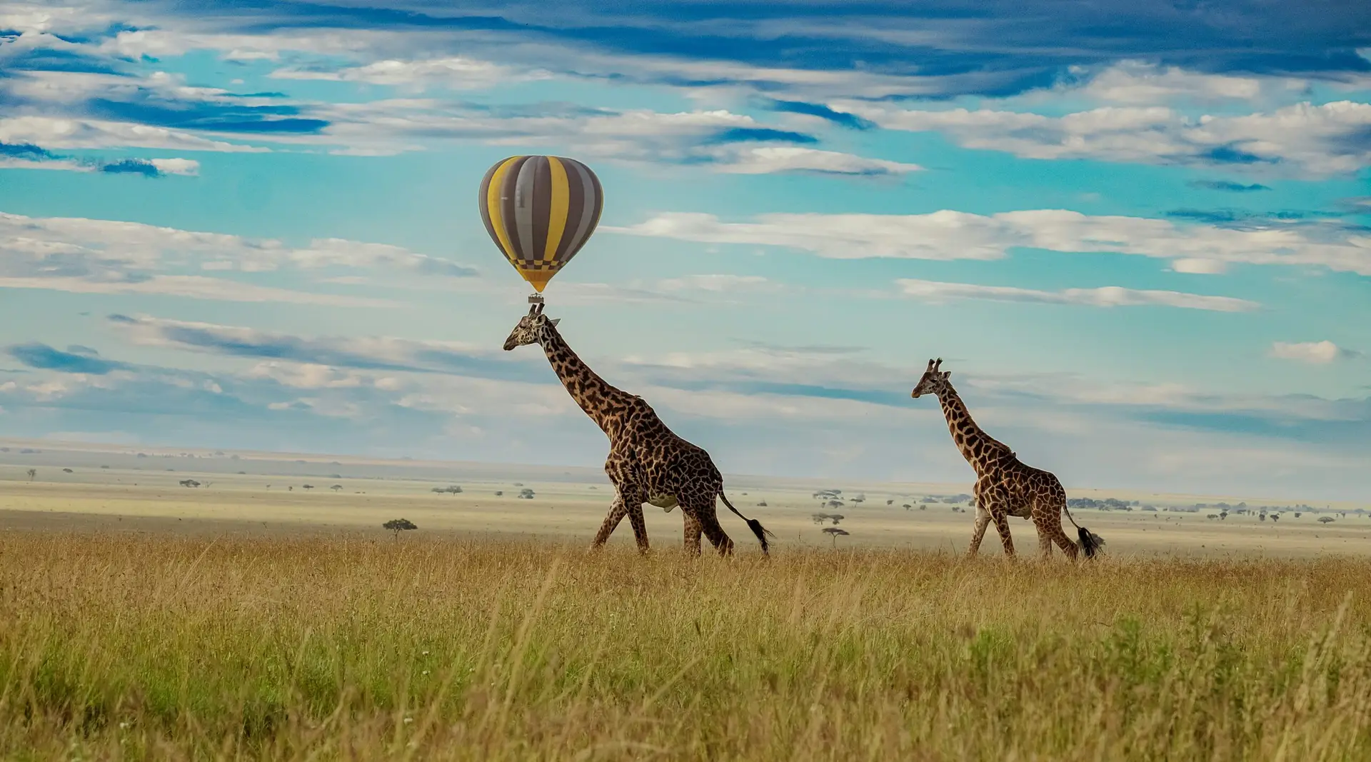 adventure travel