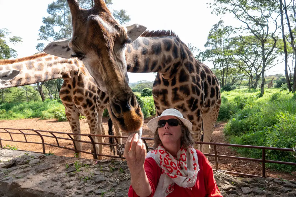 Giraffe Centre Kenya