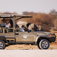 1753795066211namibia-mokuti-gamedrive-safari-canon-destination-crew10-egy079040c3a2319