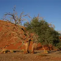 Top Namibia Safaris and Tours 8 sossuvlei national park namibia