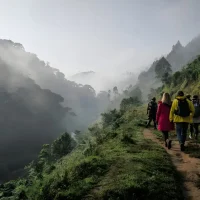 Plan your gorilla or chimp trek