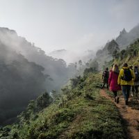 how-to-plan-your-gorilla-or-chimp-trek-5f6188e6-795f-476d-986e-6bc47ce36fed